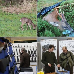 Member Album by glogin