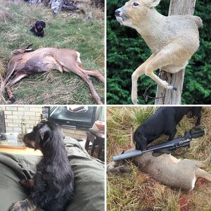 Member Album by gelert