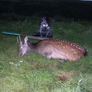His second Sika