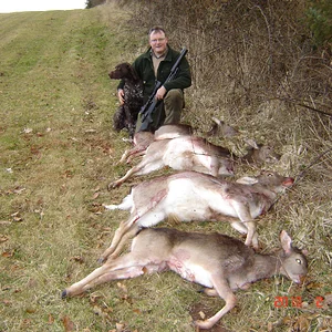 Ruud, Max and fallow