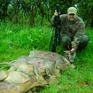 Somerset bucks