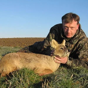 Gold Medal CWD