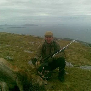 Atlantic stag