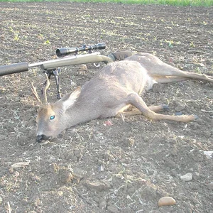 hunting_018