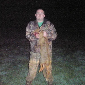 fox shot in the face