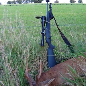 silver medal roebuck