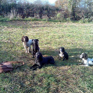 Picture_180