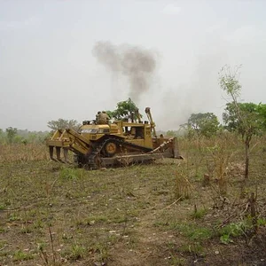 Midge Heaven after August 27th