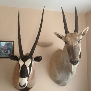 Northern cape SA 2012