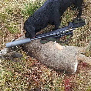 first roe buck of the season