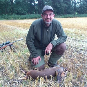 Muntjac Buck