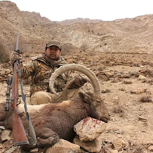 2nd_Himalayan_Ibex_25th_Jan_2015-2