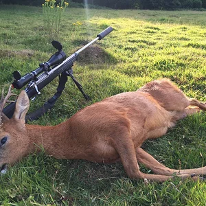 Roe and rifle.