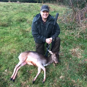 Fallow Doe