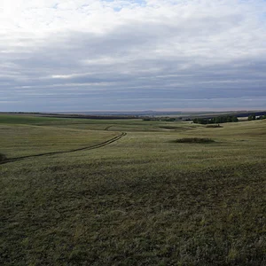 Siberian roe deer stalking near Orenburg city. 2000+km from home.