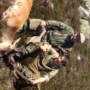 Early season Stags