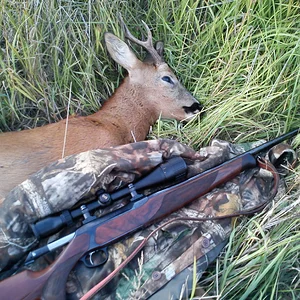 Roe Bucks 2010