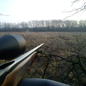 View from the high seat Jan 2011