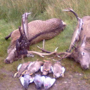 A good days work