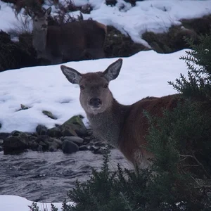 DSCF0088