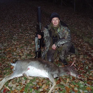 Fallow pricket