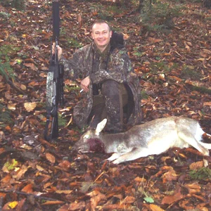 High neck shot fallow Pricket