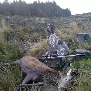 RED DEER