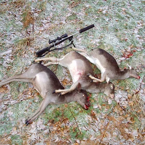 Fallow