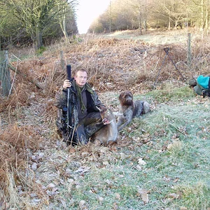 Fallow pricket 6-3-2012