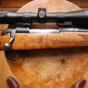 BSA 308 Winchester