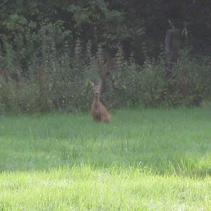 they don't even stand up when i walk by.