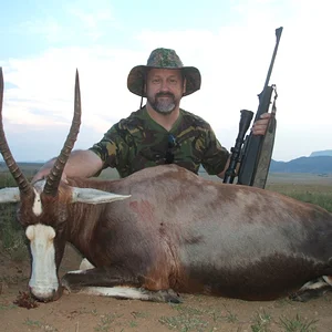 Blesbuck