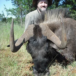Cull Beast