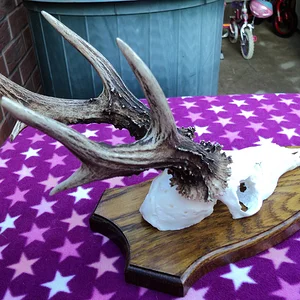 2012 RoeBuck