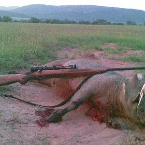 African Hunting