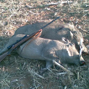 African Hunting