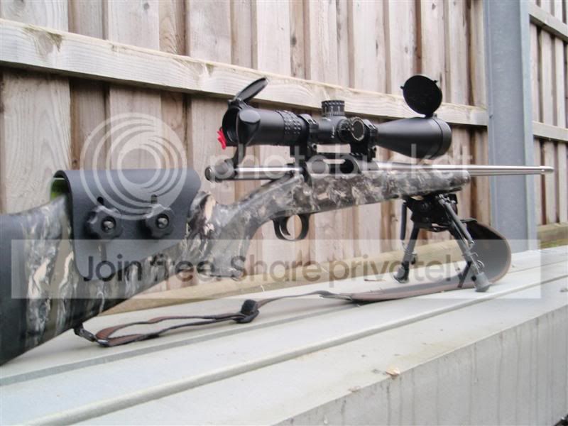 Ackley013Medium.jpg