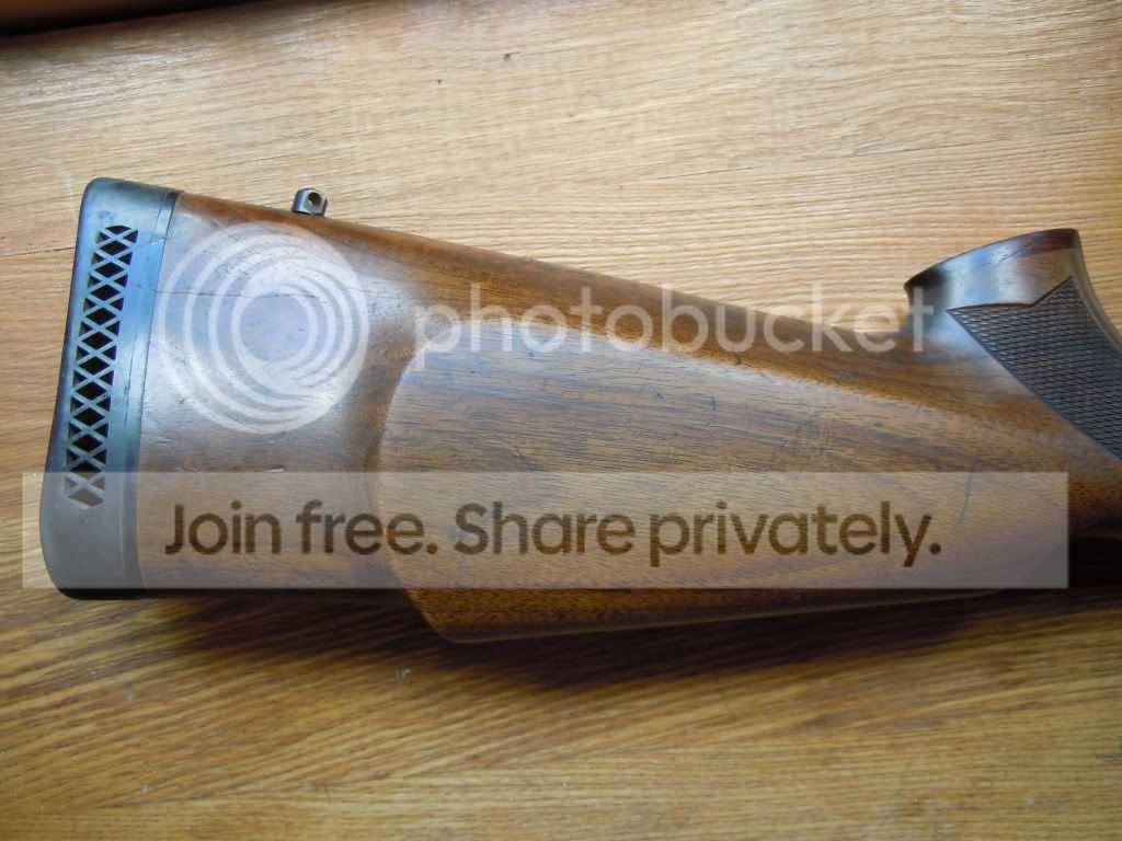 DSCN4535.jpg