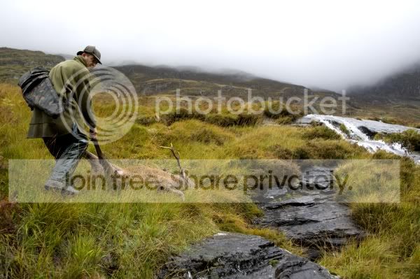 ScotlandStalking-17.jpg
