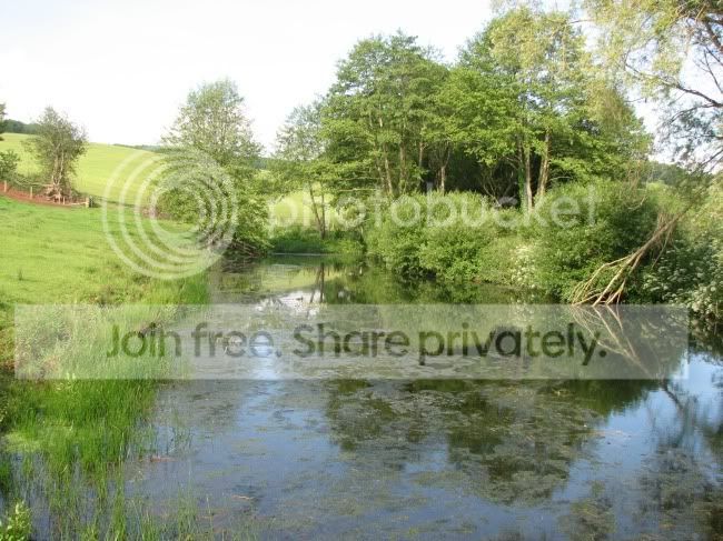Pond.jpg