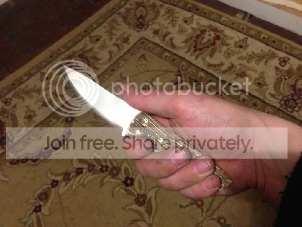 IMG_0917_zps391d0d36.jpg