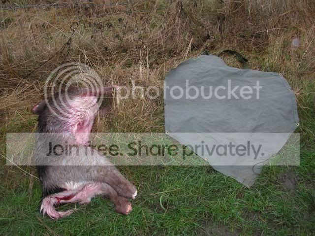 DSCN0626.jpg