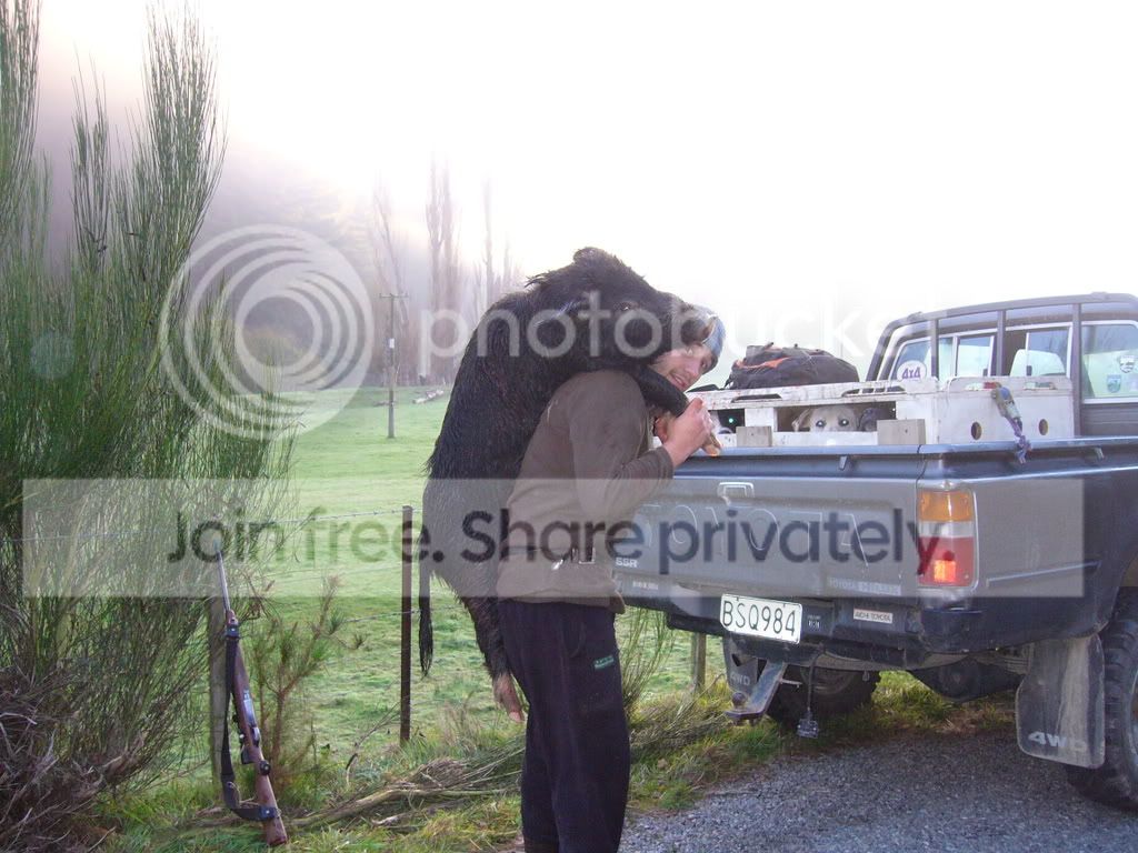 nz127.jpg
