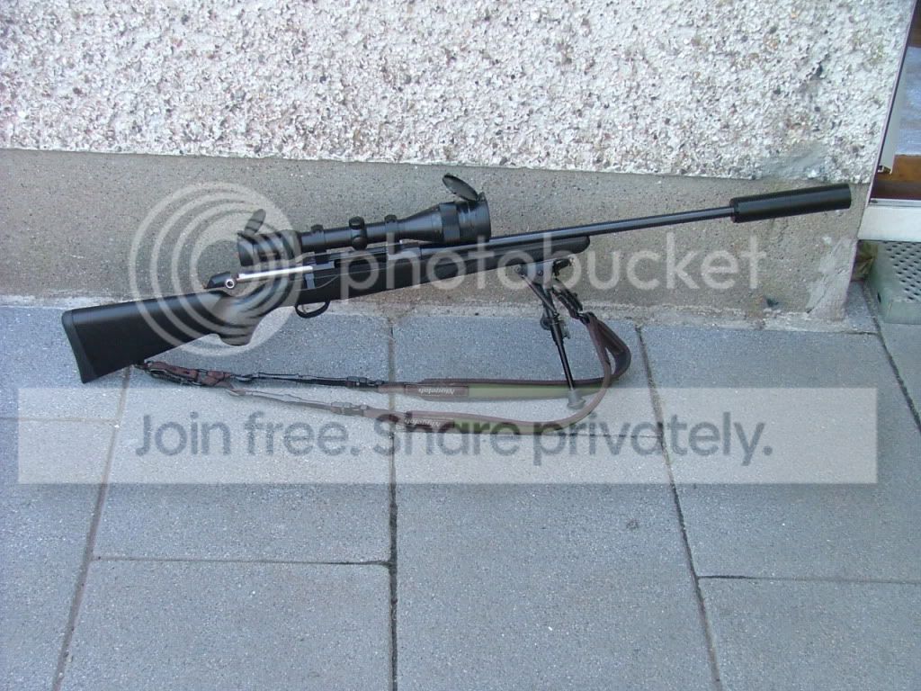 Deer025.jpg