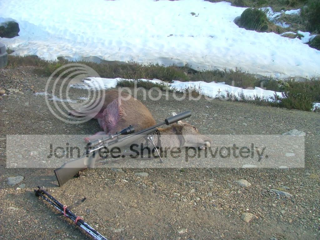 DeerStalking024.jpg