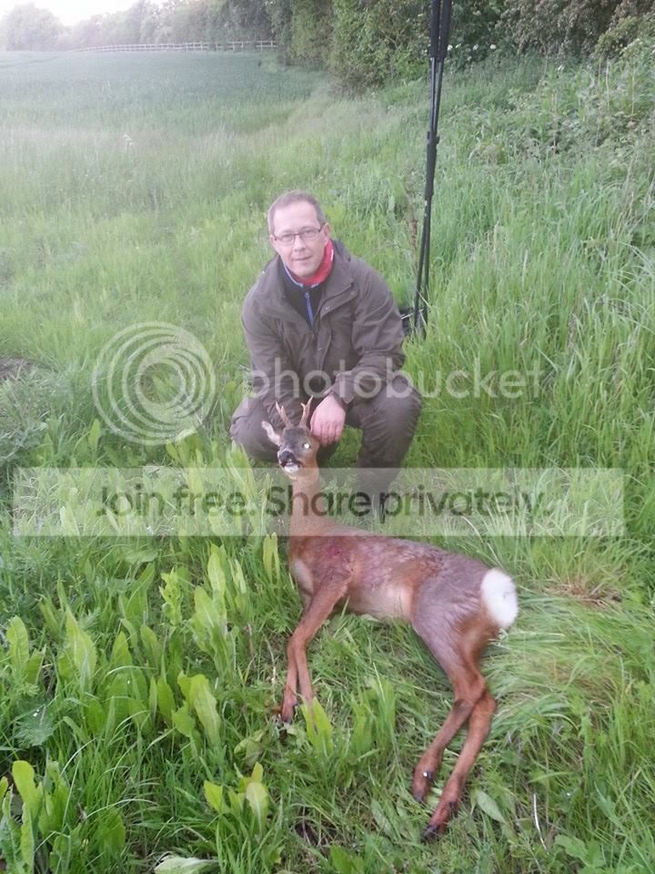 sven2_zpse8186f31.jpg
