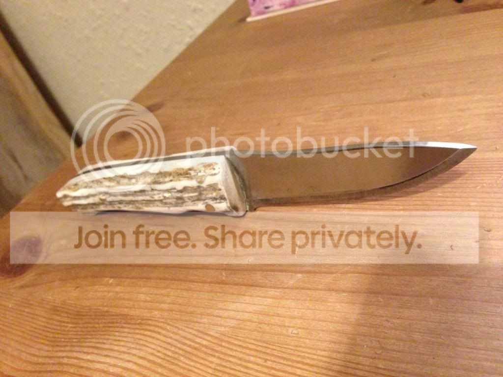 IMG_0914_zpse3b2c37f.jpg
