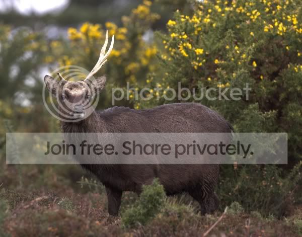 _X0P2384-02.jpg