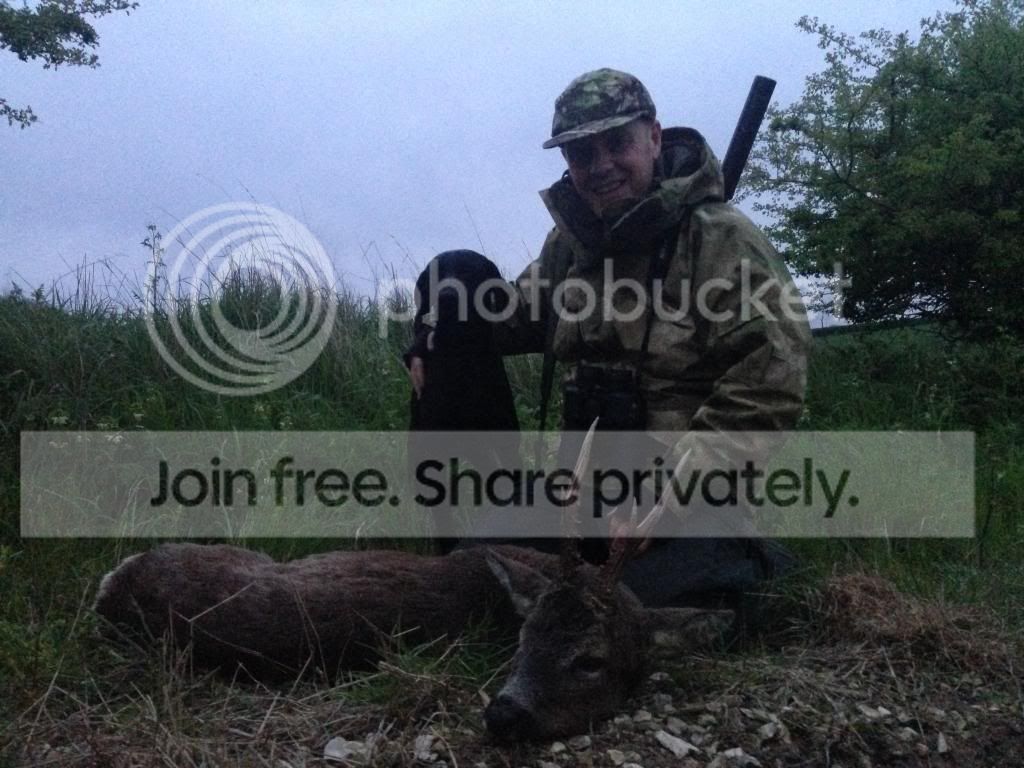 deer9_zpsa7bb6752.jpg