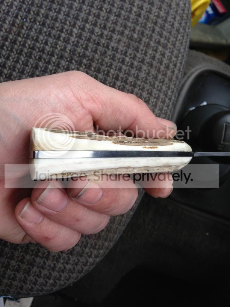 IMG_0924_zpsef333d09.jpg